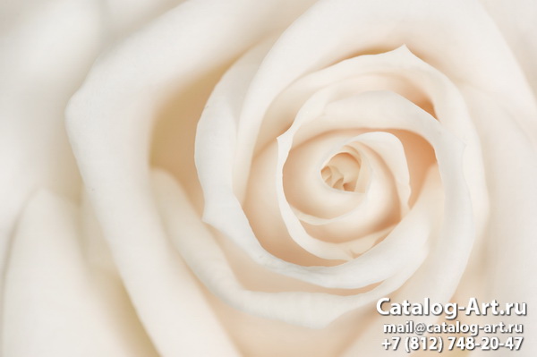 Натяжные потолки с фотопечатью - Белые розы 32